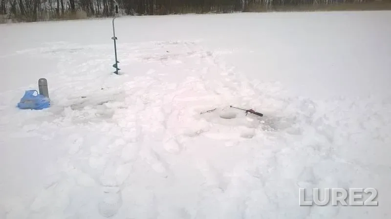 Roach — Rudnevskoye, Mar 09, 2016