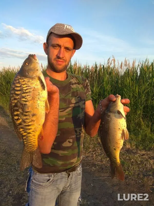Carp — Avtonomna Respublika Krim, May 20, 2018