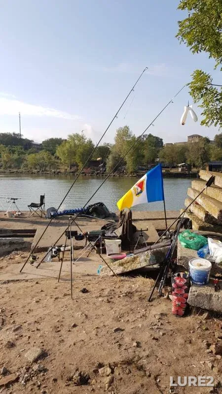 Carp — Dnestrovskiy liman, Sep 30, 2019