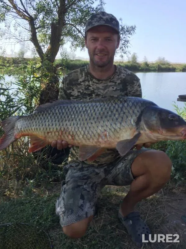 Carp — Odeska oblast, Jul 28, 2019