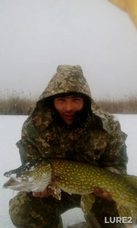 Pike — Odeska oblast, Dec 22, 2016