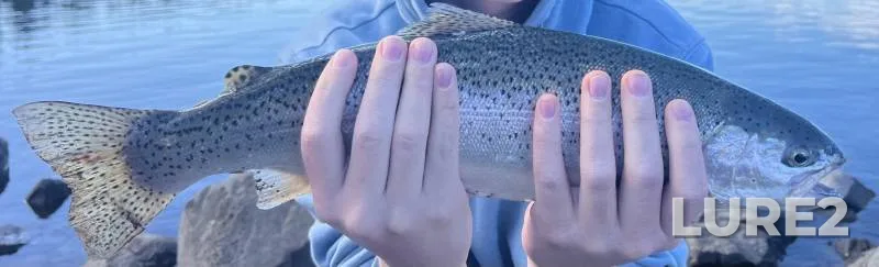 Rainbow trout — North Fork Feather River, Aug 22, 2019, 7:00 AM