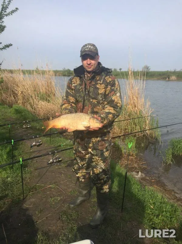 Carp — Odeska oblast, Apr 21, 2017