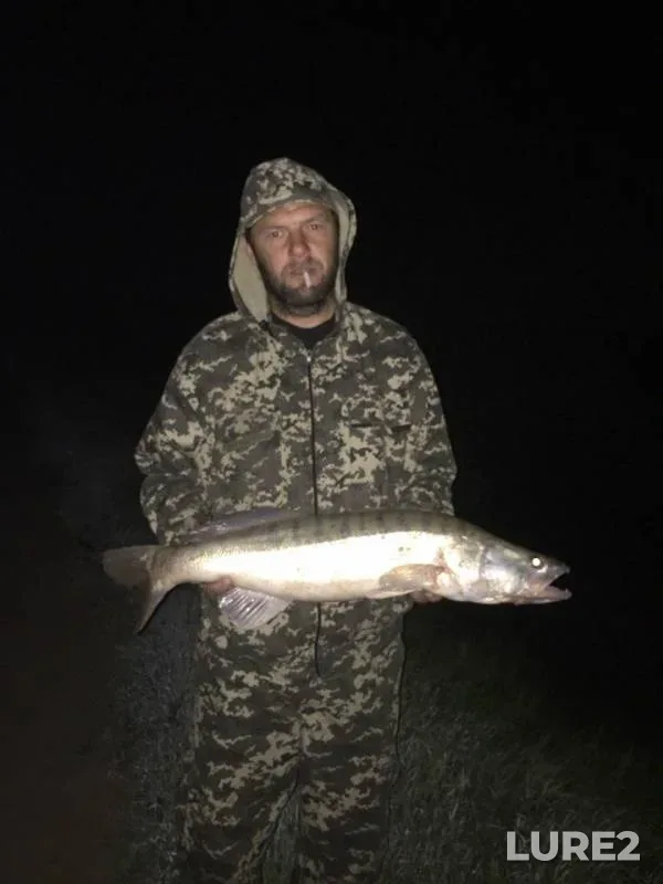 Zander — Odeska oblast, Apr 30, 2018