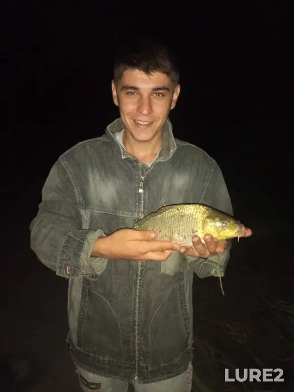Carp, Wels catfish — Dnestr, Jul 06, 2018
