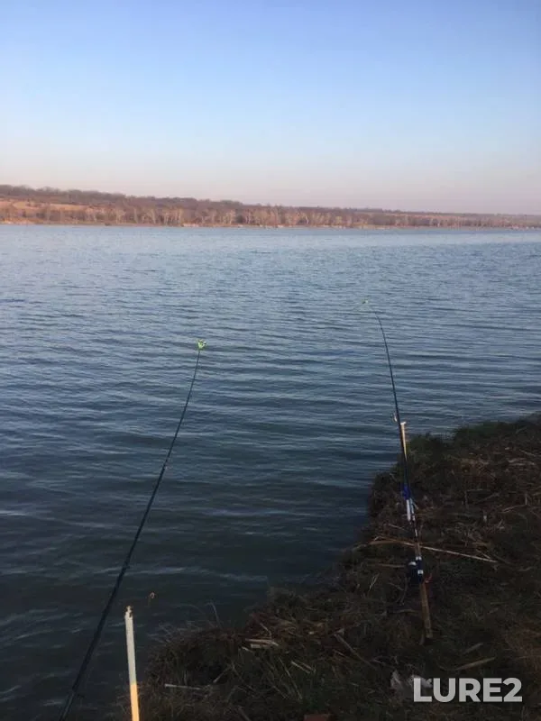 Crucian carp — Bannovskoye, Apr 02, 2019