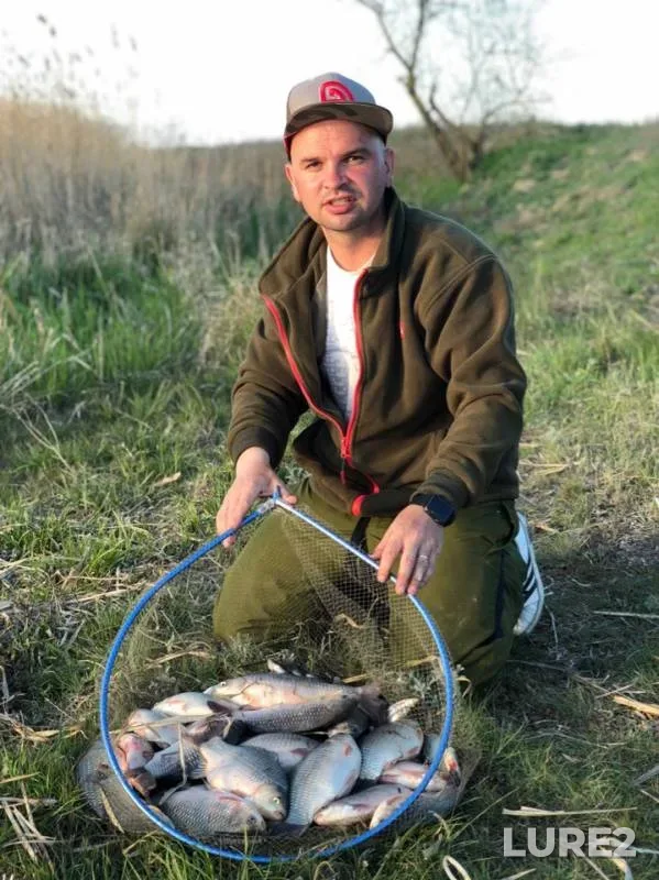 Crucian carp — Odeska oblast, Apr 24, 2019