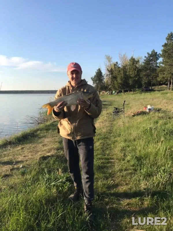 Carp — Bannovskoye, Apr 29, 2019