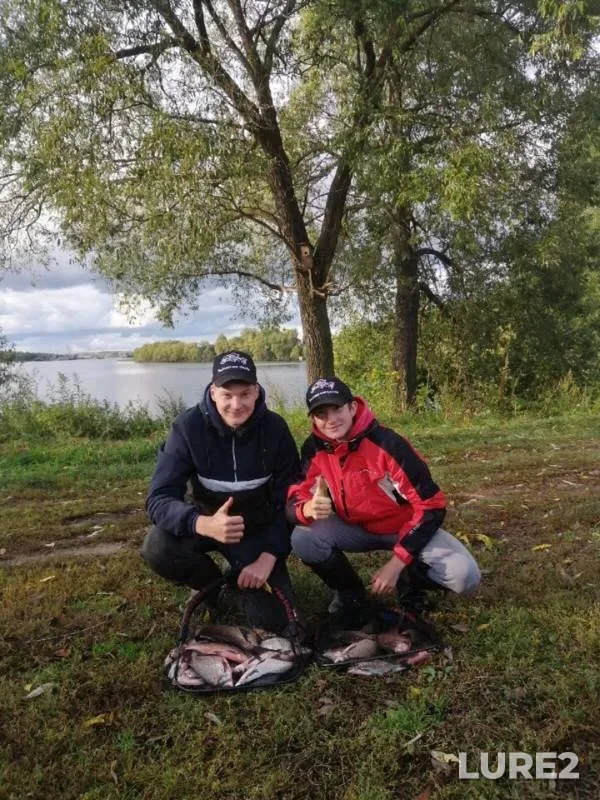Bream — Kostromskaya oblast, Sep 18, 2019