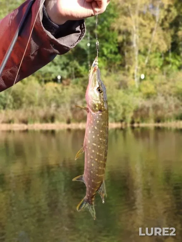 Pike — Lukh, Sep 23, 2019