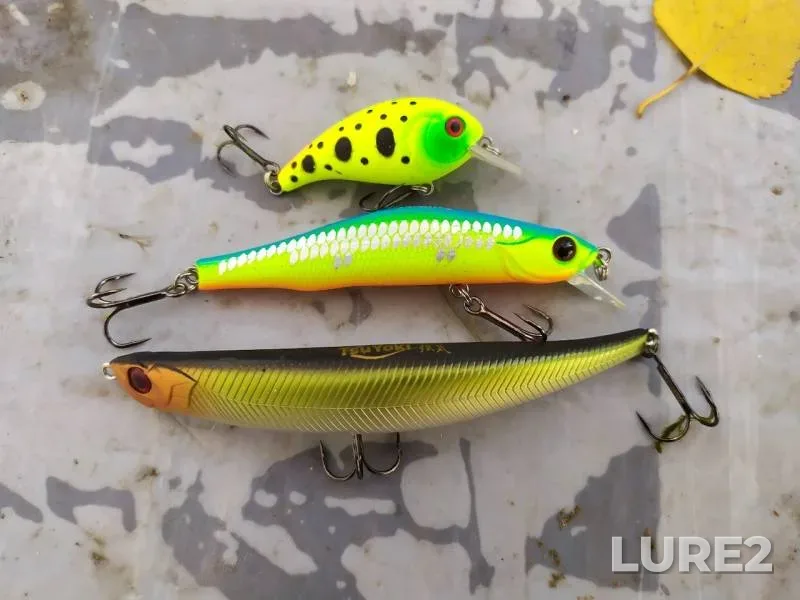 Perch, Pike — Kera, Oct 06, 2019