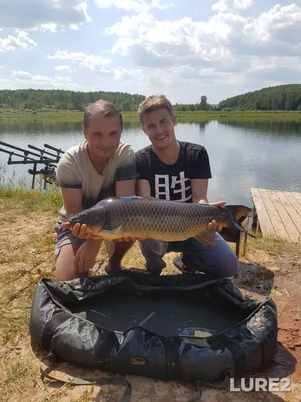 Carp — Pechet, Jun 24, 2018