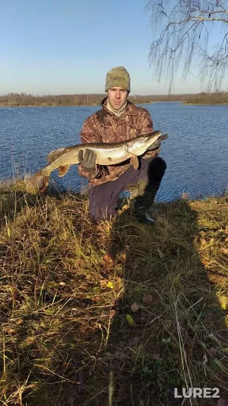 Pike — Shevriginskoye, Nov 15, 2019