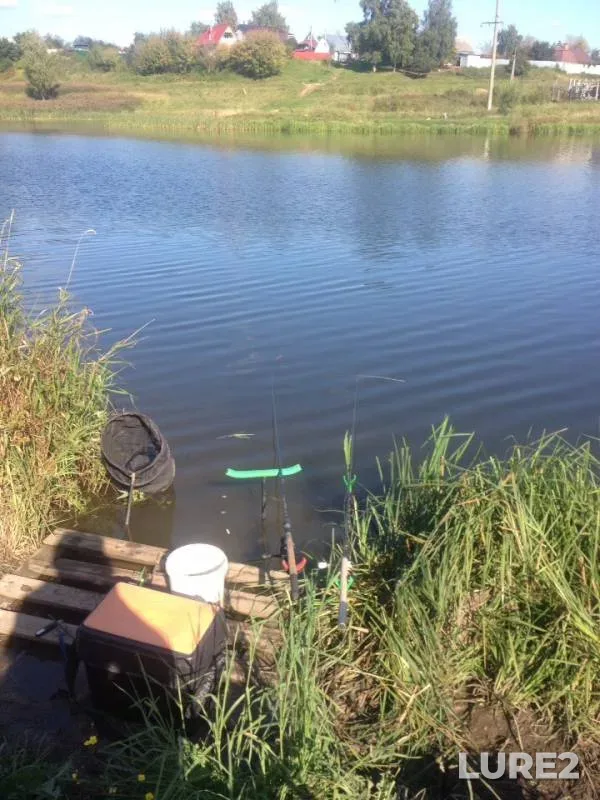 Carp, Crucian carp — Uvod, Sep 02, 2019