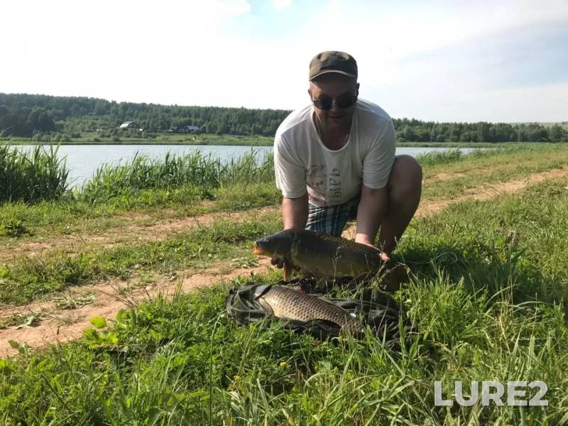 Carp — Pechet, Jun 19, 2018