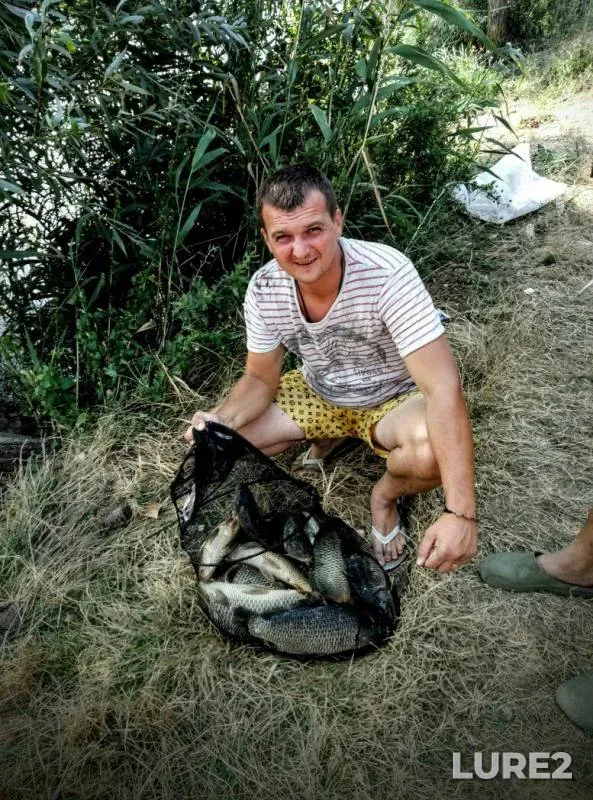 Carp — Odeska oblast, Aug 07, 2016