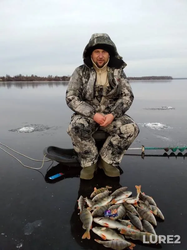Perch — Yachmenka, Nov 24, 2019