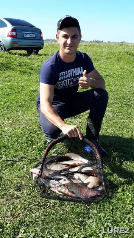 Bream, Roach — Kostromskaya oblast, Sep 04, 2019