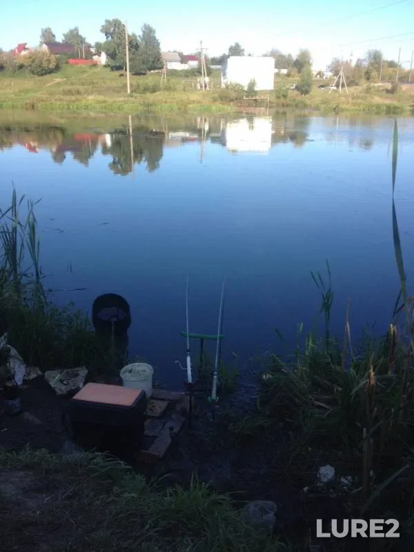 Bream, Roach — Uvod, Sep 03, 2019
