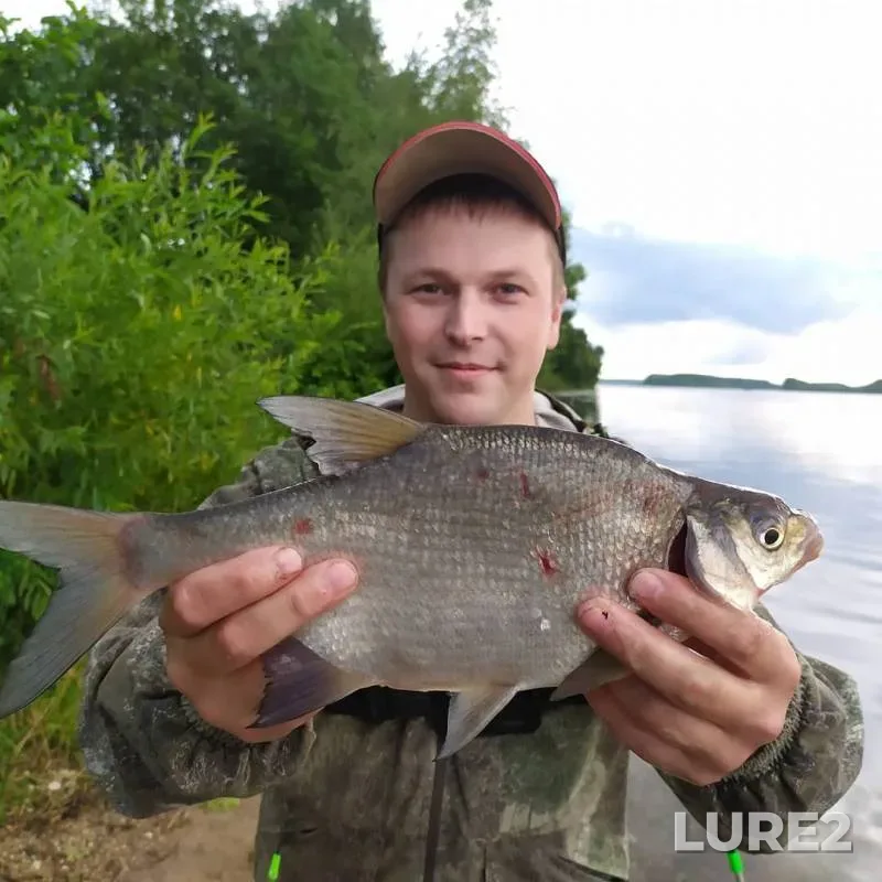 Bream, Perch — Volga, Jul 20, 2019