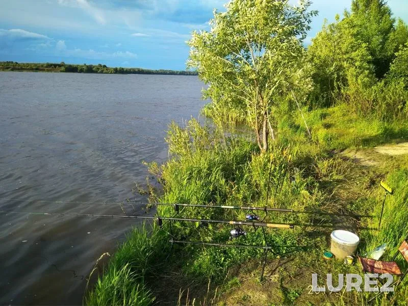 Bream — Yolnat, Jul 09, 2019