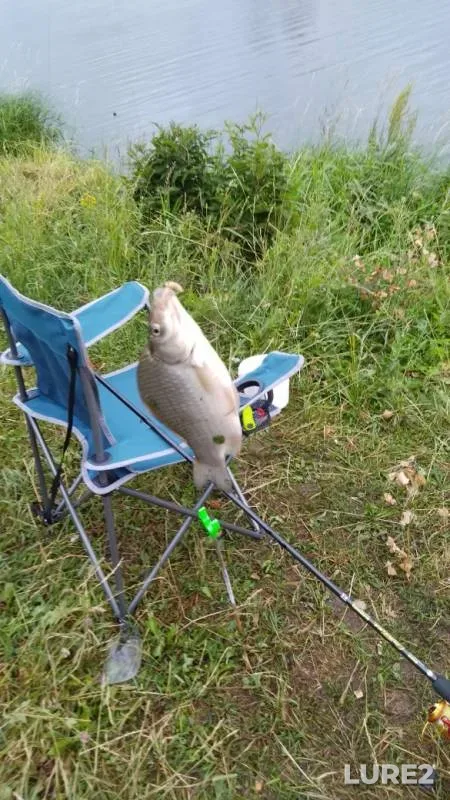 Bleak, Crucian carp — Uvod, Jul 04, 2019