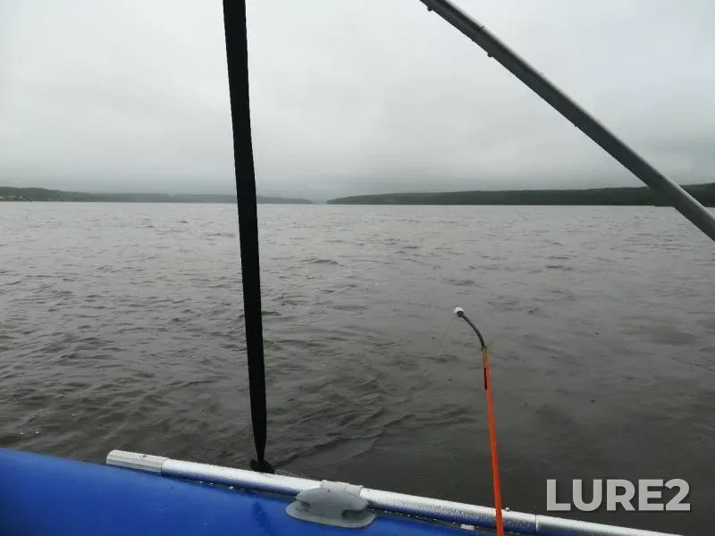 Bream — Volga, Jun 30, 2019
