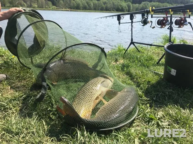 Carp — Pechet, May 18, 2018