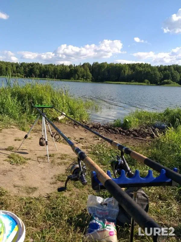 Crucian carp — Rogatinskoye, Jun 16, 2019