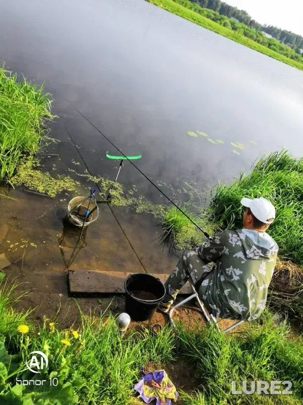 Bream, Roach — Volga, May 29, 2019
