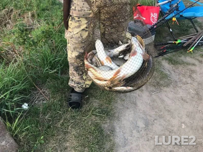 Pike — Pechet, May 17, 2018