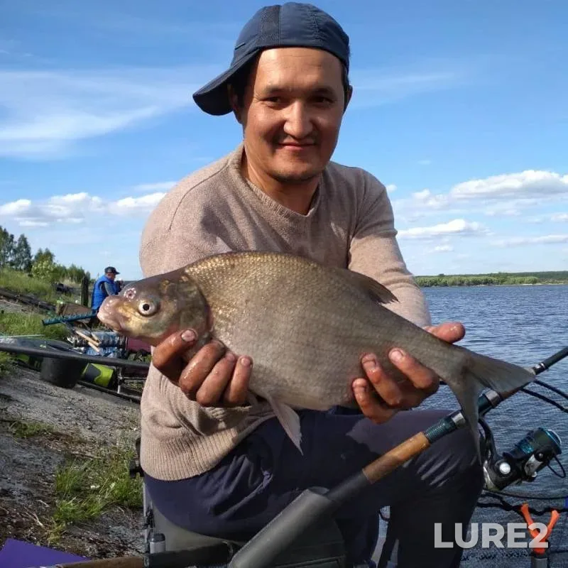 Bream — Glazovskoye, May 27, 2019