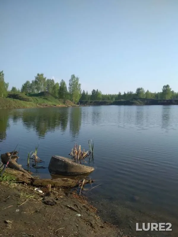 Carp — Ivanovskaya oblast, May 10, 2019
