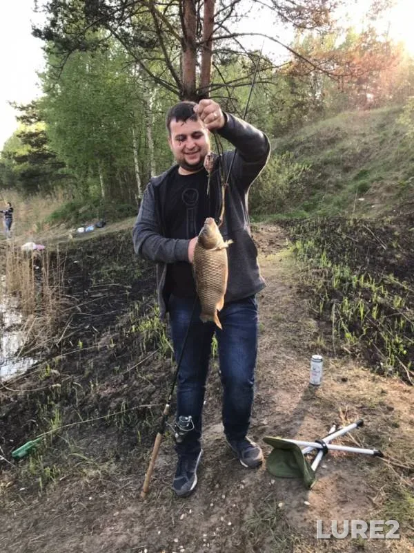 Crucian carp — Ivanovskaya oblast, May 09, 2019