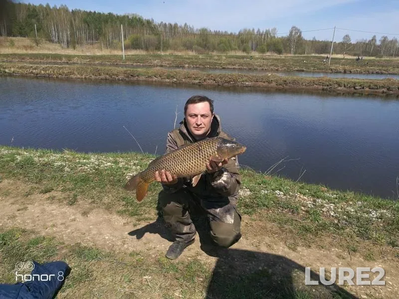 Carp — Pechet, May 06, 2018