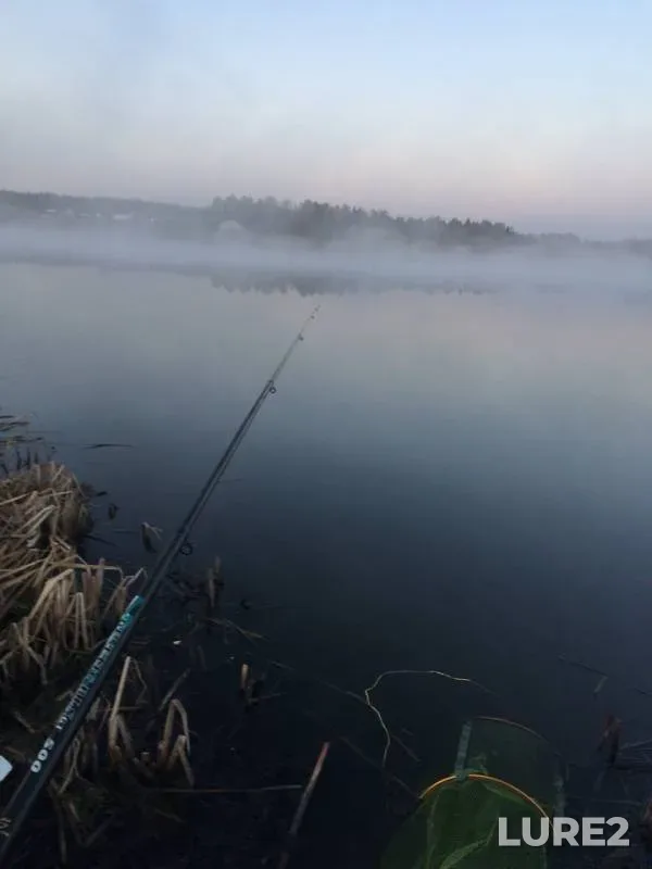 Crucian carp — Vasilyovskoye, Apr 27, 2019
