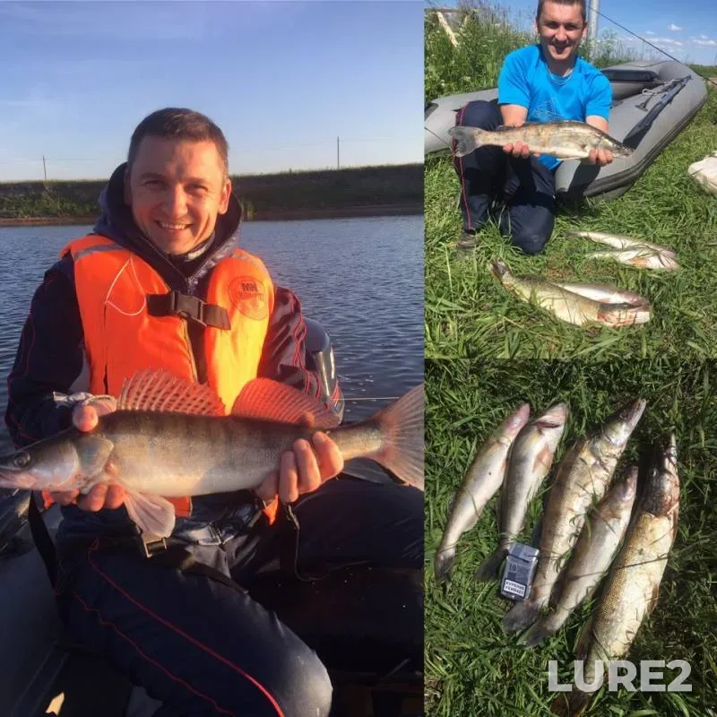 Pike, Zander — Oka, Jun 17, 2018