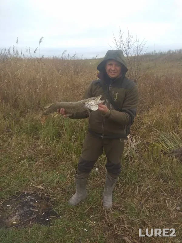 Pike — Kurskaya oblast, Nov 10, 2019