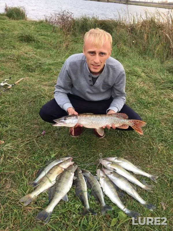 Pike, Zander — Kurskaya oblast, Oct 04, 2019