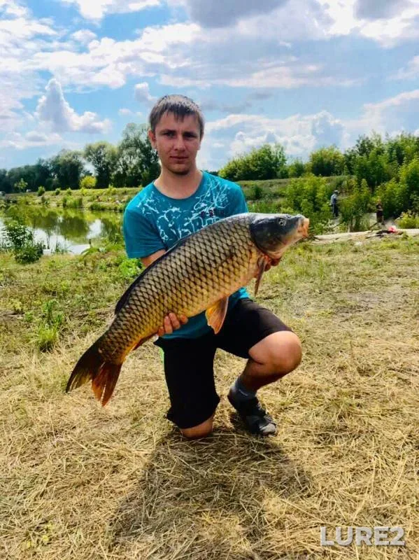 Carp — Belenkaya, Jul 17, 2019
