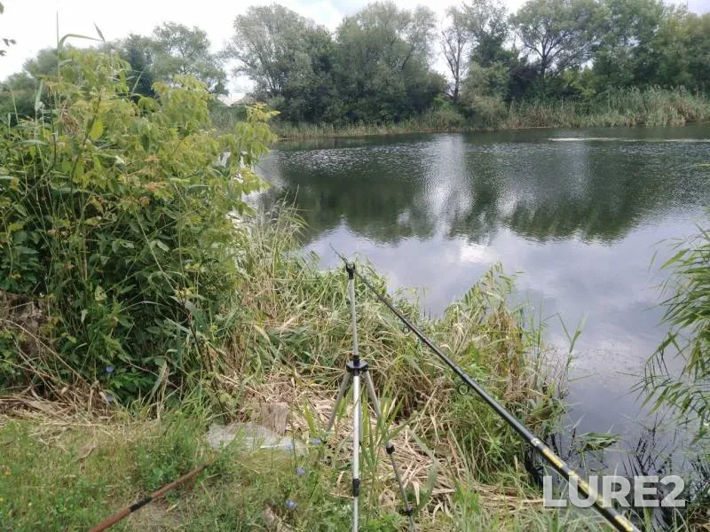 Bream, Roach — Oskol / Oskіl, Jul 14, 2019