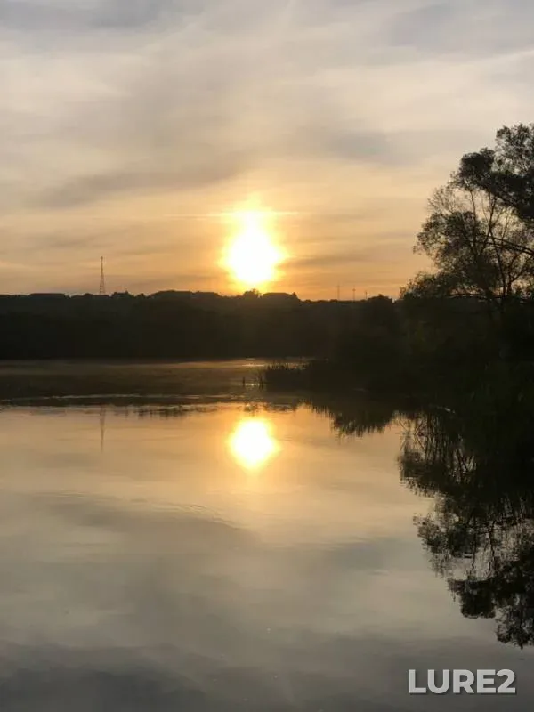 Perch, Pike — Oskolets, Jun 26, 2019