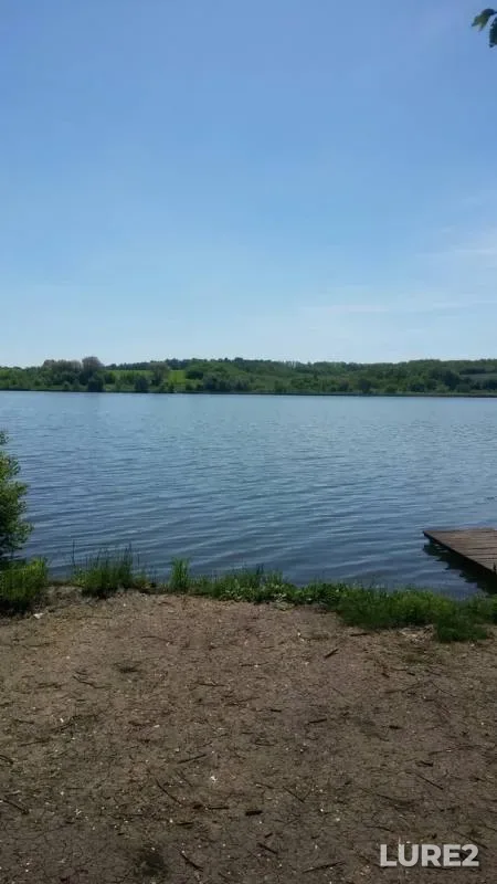 Carp — Khalan, May 21, 2019