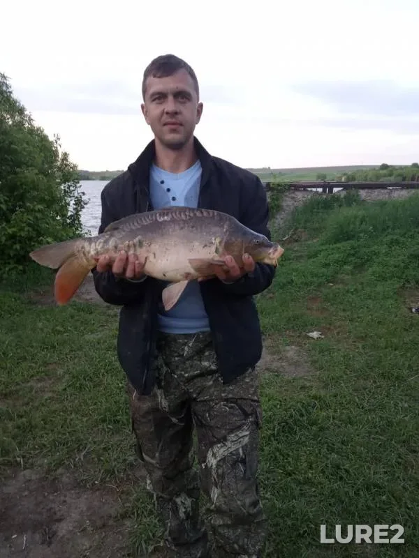 Carp — Kurskaya oblast, May 17, 2019