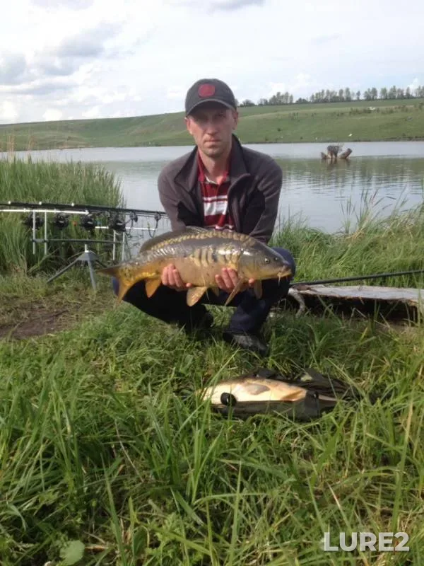 Carp — Kurskaya oblast, May 13, 2019