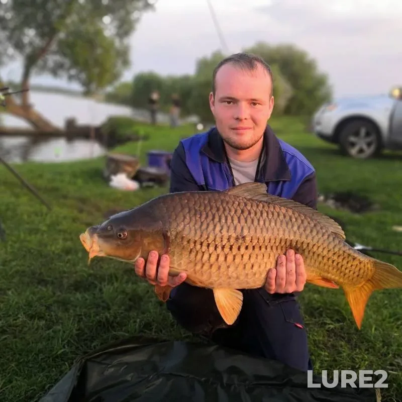 Carp — Kurskaya oblast, May 09, 2019
