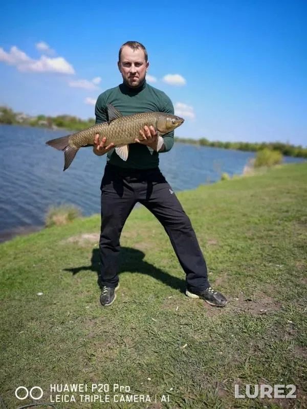 Carp — Stuzhenyok, May 05, 2019