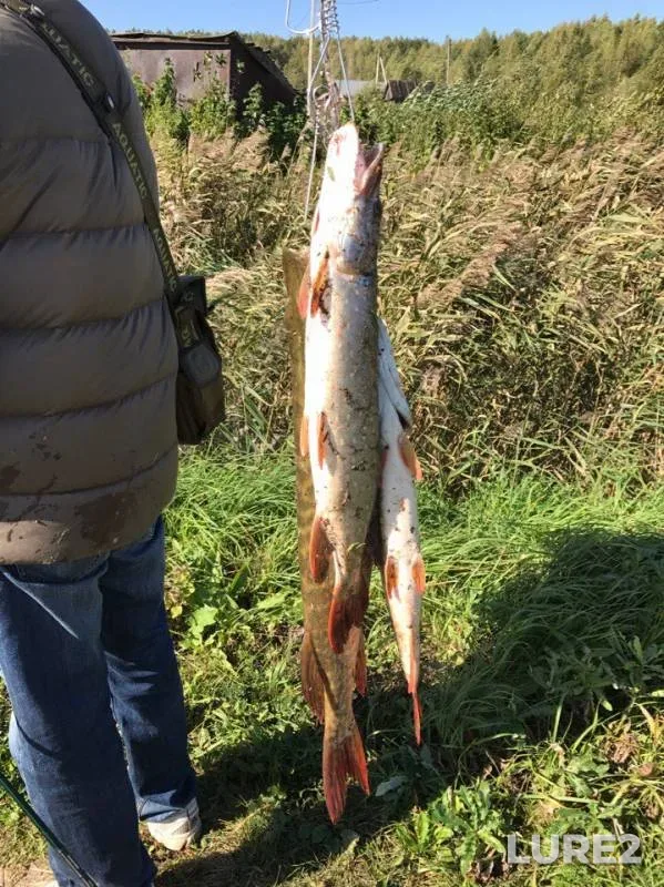 Pike — Pechet, Sep 19, 2017