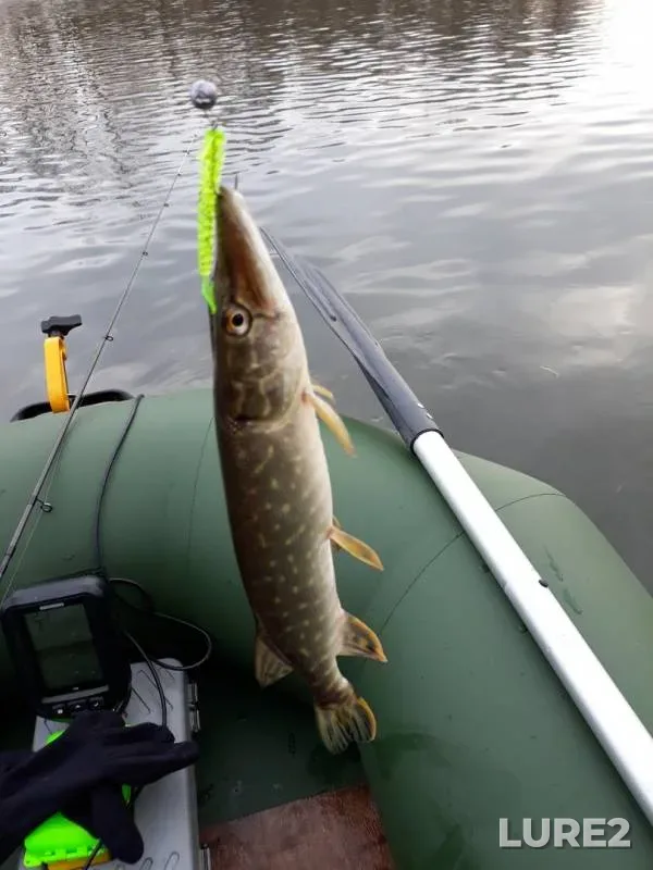 Perch, Pike — Oskol / Oskіl, Mar 06, 2019