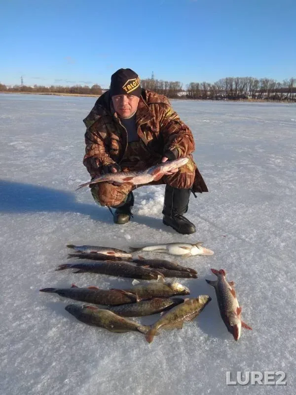 Pike, Zander — Belenkaya, Feb 18, 2019